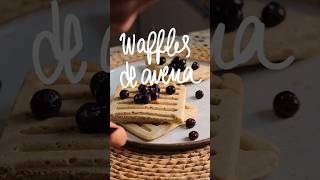 Cómo hacer waffles en donde sea  GiaAlfieri Waffles cocinafit avena [upl. by Trimmer]