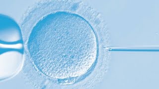 IVF Lab Tour  What happens Inside Fertilization by ICSI to Embryo Transfer [upl. by Greysun]