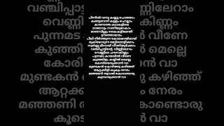 pinnil vannu song lyricsmalayalam music song lyrics shorts malayalam Irfanachemban [upl. by Lahcsap403]