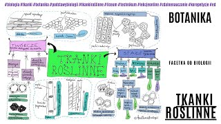 Tkanki roślinne  Budowa i funkcje tkanek roślinnych  Botanika  Darmowe korepetycje z biologii [upl. by Anaejer688]