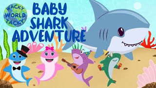 Baby Shark Adventure TODDLER SENSORY VIDEO BABY SENSORY TODDLER SONGS toddlersongs [upl. by Felisha]