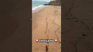 Thailand beach WARNING It’s that time of year jellyfish ⚠️ [upl. by Tomkin]