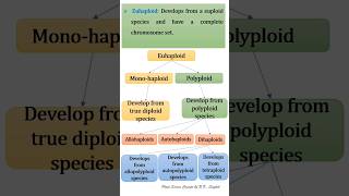 Haploid and Aneuploidy [upl. by Notyal]