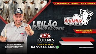 Andaluz Leilões I Léo Lemes Leilão de Gado de Corte em Goiás 04112024  Leilão Ao Vivo [upl. by Hadley]