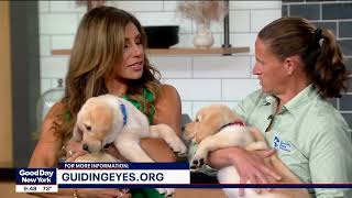 National Dog Day Thomas Panek and Jolene Hollister on Good Day NY Fox 5 08 26 2024 [upl. by Alvera]