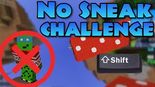 No Sneak CHALLENGE in Skywars [upl. by Emlen]