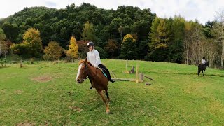 Aniwaniwa Riding our Kaimanawa Pony Bear  Wildwood New Zealand [upl. by Iridissa]