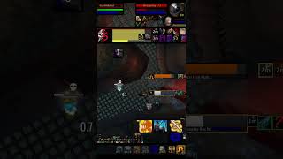 WotLK Classic  Ret Rogue vs Disc Feral feat Ginegatt [upl. by Luana]