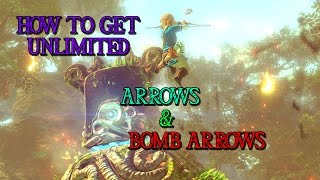 How To Get Unlimited Arrows And Bomb ArrowsZelda Breath Of The Wild [upl. by Iphlgenia254]