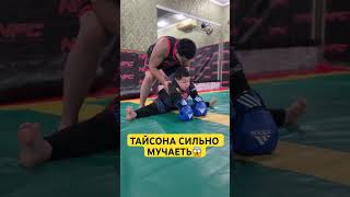 ТРЕНЕР ТАЙСОНА СИЛЬНО МУЧАЕТЬ😱 [upl. by Atorod]