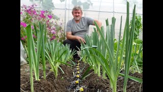 le 21092020Comment butter les poireaux visite du jardin [upl. by Kendy383]