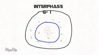 interphase example [upl. by Irafat]