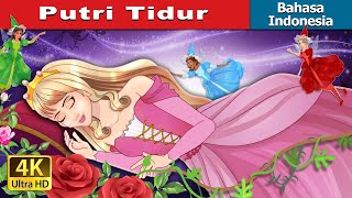 Putri Tidur  The Sleeping Beauty in Indonesian  IndonesianFairyTales [upl. by Akeim]