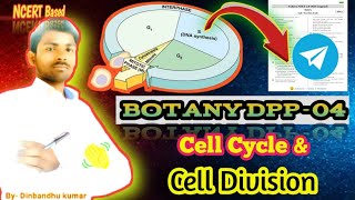 Cell Cycle amp Cell Division Botany DPP04 Solutions Apical Meristem medical neet aiims mbbsdks [upl. by Nedia]