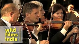 Trumpet Concerto Haydn 2nd movement by Andreas Ottl [upl. by Inahpit]