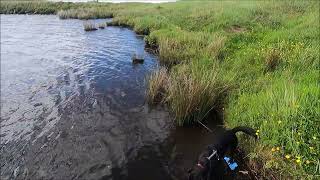 Binevenagh Forest Mountain Top Lake amp walk County Londonderry 25th June 2022 [upl. by Neelyahs]