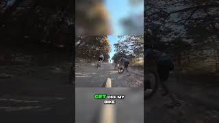 Mountain Bike Tires The New Gravel Game Changer [upl. by Neyuh]