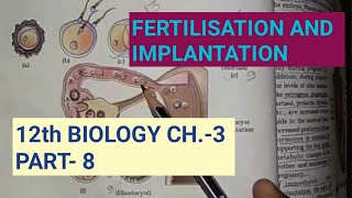 Class 12 biology chapter 3part 8fertilisation and implantationby study with farru [upl. by Clare]