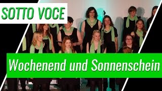 Comedian Harmonists  Wochenend und Sonnenschein Cover [upl. by Reames]