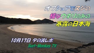 オフショアでスジの様なウネリのみの寒露の日本海 241018 夕方 サーフモンキーTV [upl. by Huttan]