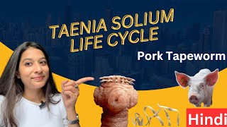 Pork Tapeworm  Taenia solinum Lifecycle  Tapeworm  Cysticercosis Hindi [upl. by Etteluap309]