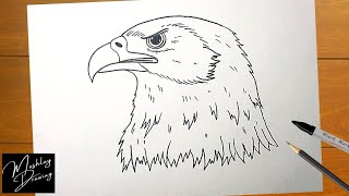 How to Draw Eagle Head Easy Step by Step [upl. by Zerat]