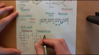 Voltage Gated Ion Channels Part 11 [upl. by Lawford223]