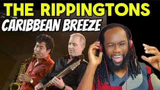 THE RIPPINGTONS Caribbean breeze REACTION  The absolute feel good summer jam First time hearing [upl. by Notlrac645]