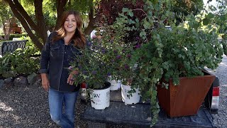 Planting Sun Loving Shrubs Butterfly Bush Ninebark amp Coralberry 💚🌿💚  Garden Answer [upl. by Idnahs830]