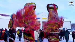 Goats from Moldova Cahul Crihana Veche 2019 winter traditions and customs Caprele 2019 [upl. by Rorry523]