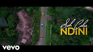 Seh Calaz  Ndini Official Video [upl. by Connell]