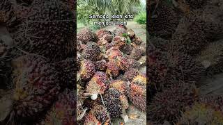 Manen buah sawit 10 ton  shortpetani shortviral [upl. by Westfahl]