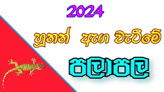 හූනන් ඇග වැටීමේ පලාපල 2024  hunan aga wetime palapala  gecko prediction  hunan agta wetima [upl. by Lesab448]