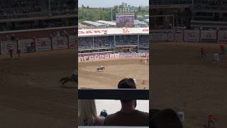 THE BIGGEST RODEO OF THE WORLD p2 Calgary Stampede Rodeo 2024 [upl. by Esenej]