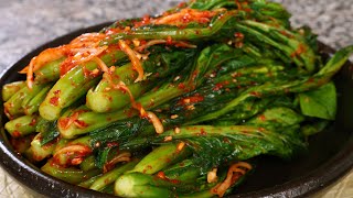 Kimchi made with mustard greens gatkimchi갓김치 [upl. by Irollam634]