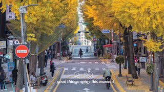 【洋楽playlist】 部屋でかけ流したいお洒落な曲  早起きした朝に聞く気持いい洋楽  🍂 秋の朝にリラックスできる音楽プレイリスト  穏やかなひとときを楽しむ洋楽 作業用BGM [upl. by Flore521]