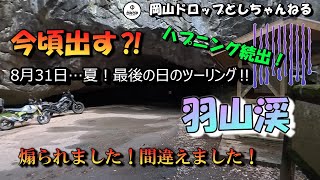 今頃出す⁉️8月31日…夏❗最後の日のツーリング‼️羽山渓🤩 煽られました❗間違えました❗ [upl. by Chandal]