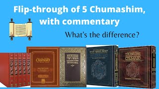 5 BOOKS OF THE TORAH  FLIP THROUGH  CHUMASH  JEWISH STUDIES [upl. by Nodnarg]