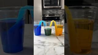 Will the water actually walk  Capillary Action Experiment🤯🔥fact science experiment [upl. by Ahsote191]