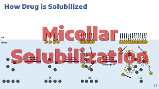 Micellar Solubilization [upl. by Ahsaf836]