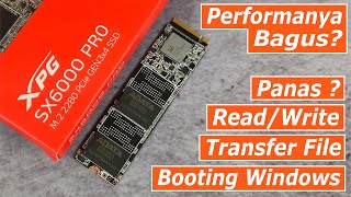 Review Adata XPG SX6000 PRO 512GB NVME diharga Terjangkau Apakah WORTH IT [upl. by Brewer357]