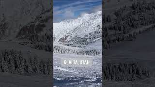 ALTA Ski Resort UTAH [upl. by Ainos]