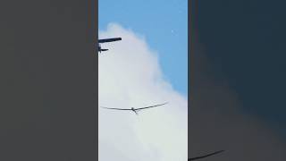 ✈️ Surprising Facts About Gliders [upl. by Hniht35]