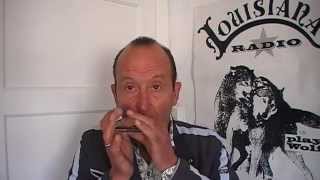 Mondharmonica beginnersvideo  Mannish boy  Im a man  C harp [upl. by Arreip]