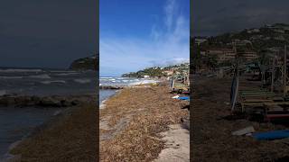 Frigate bay beach St kitts 🇰🇳 rough water strom waves caribbean stkitts shortfeed viralvideo [upl. by Alverta]