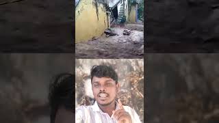 Tiruvannamalai Landslide 🚨  Fengal cyclone 🌪️🌧️  Rain Flood 🌊trendingshorts shortsfeed shorts [upl. by Alithea729]