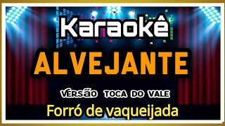 ALVEJANTE  KARAOKÊ VERSÃO FORRÓ  ALVEJANTE TOCA DO VALE PLAYBACK ALVEJANTE [upl. by Zoubek377]