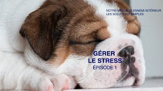 Gérer le stress  épisode 1 [upl. by Kcir428]