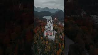 Neuschwanstein Castle Schwangau  Bavaria 🏰🇩🇪 neuschwanstein neuschwansteincastle bavaria [upl. by Dodge]