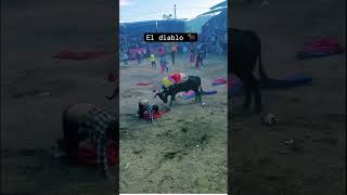 foryou reels trakas luisrconriquez jaripeomexicano mexico [upl. by Newell]